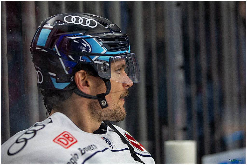 PENNY DEL;  Kölner Haie - ERC Ingolstadt; Köln, 25.11.2022
